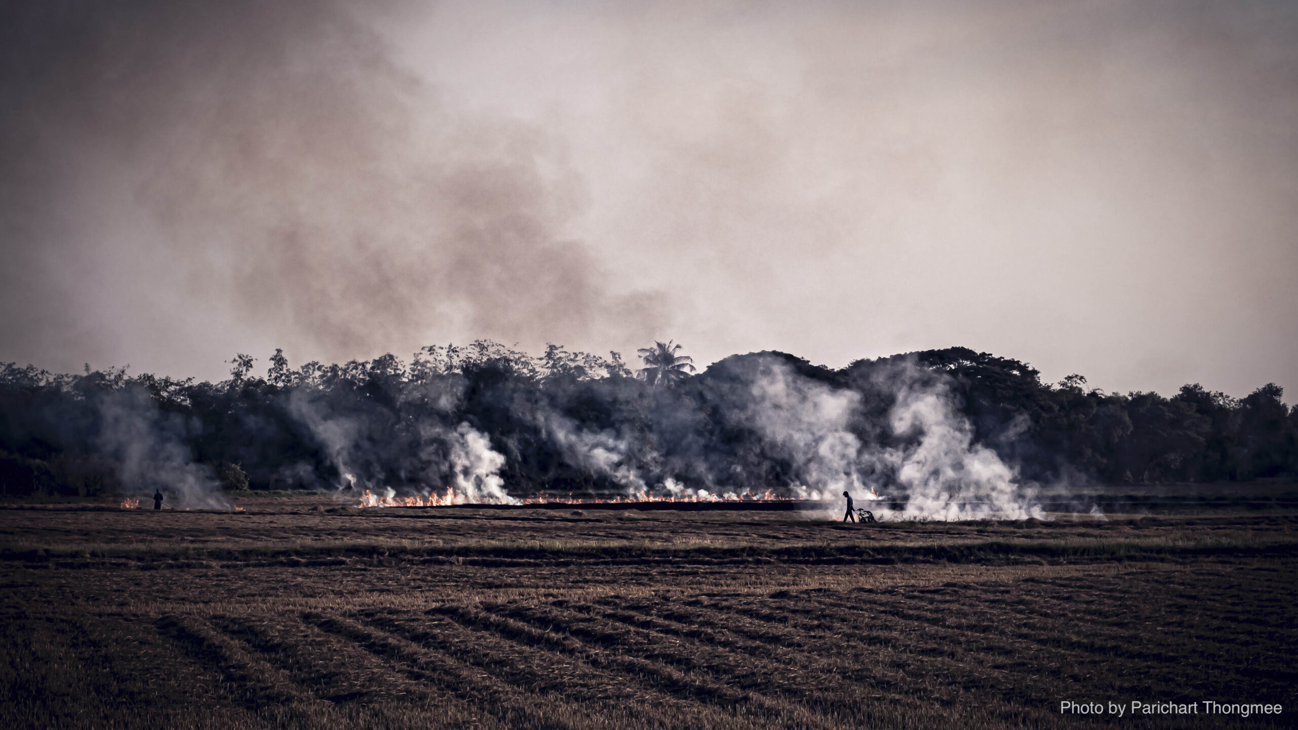 Air quality caused . Agricultural Burning in rural area of Thailand .  Farmers burn their fields to remove plants . prescribed burns . Farmers regularly set fires to clear new tracts of land