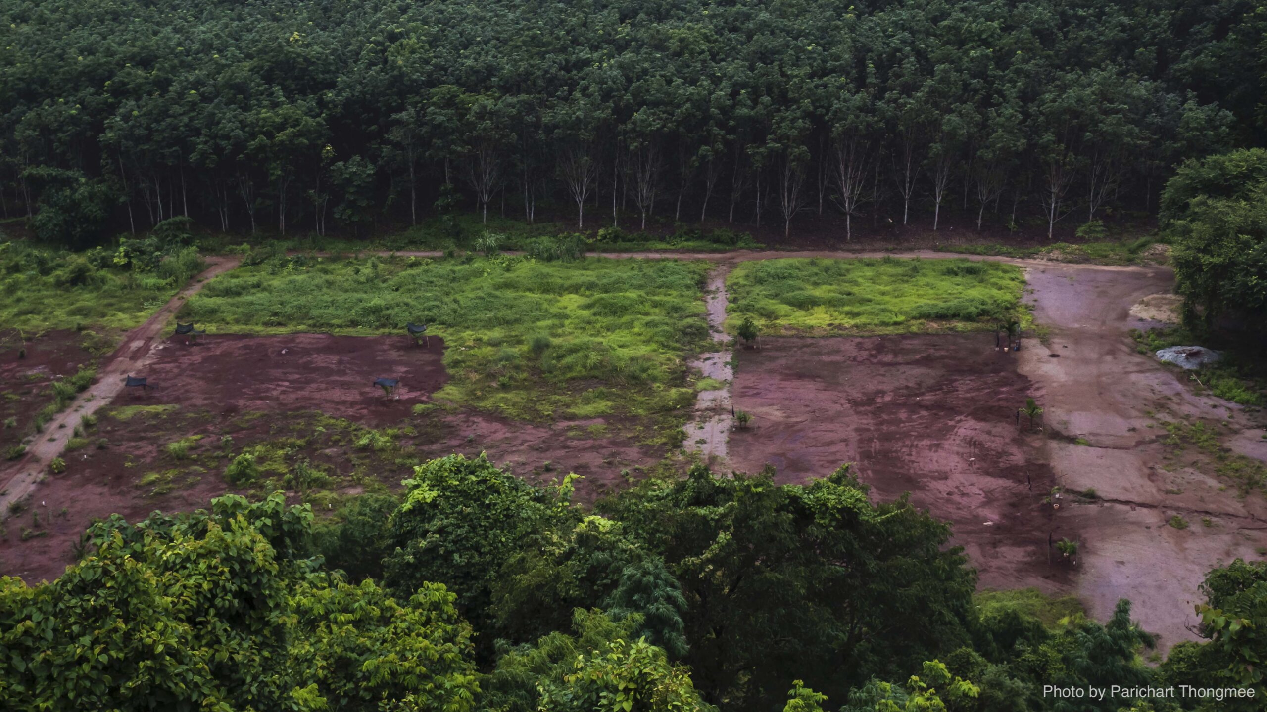 Deforestation: Scarred earth where tropical rain forest has been destroyed by human development